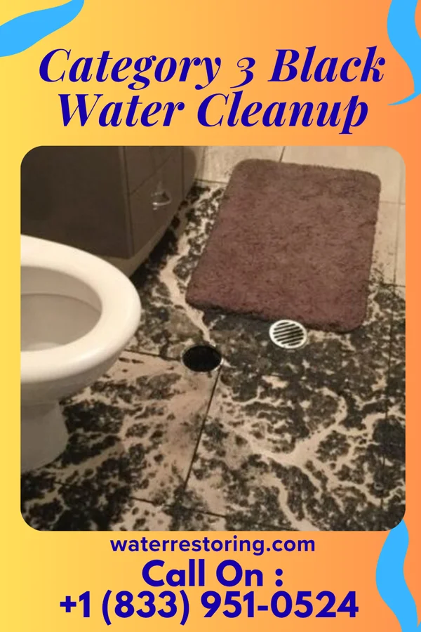 Category 3 Black Water Cleanup in Crestline, OH