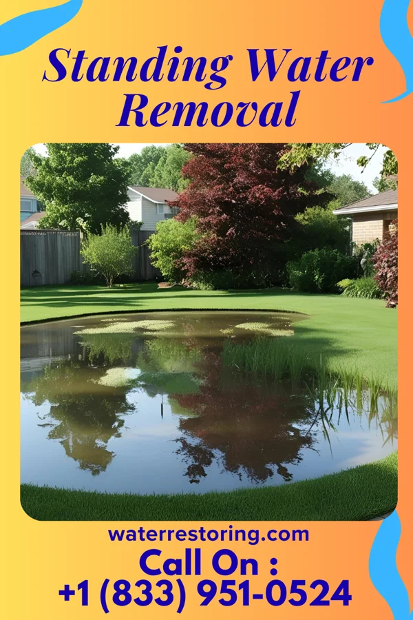 Standing Water Removal in Crestline, OH